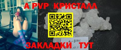индика Гай