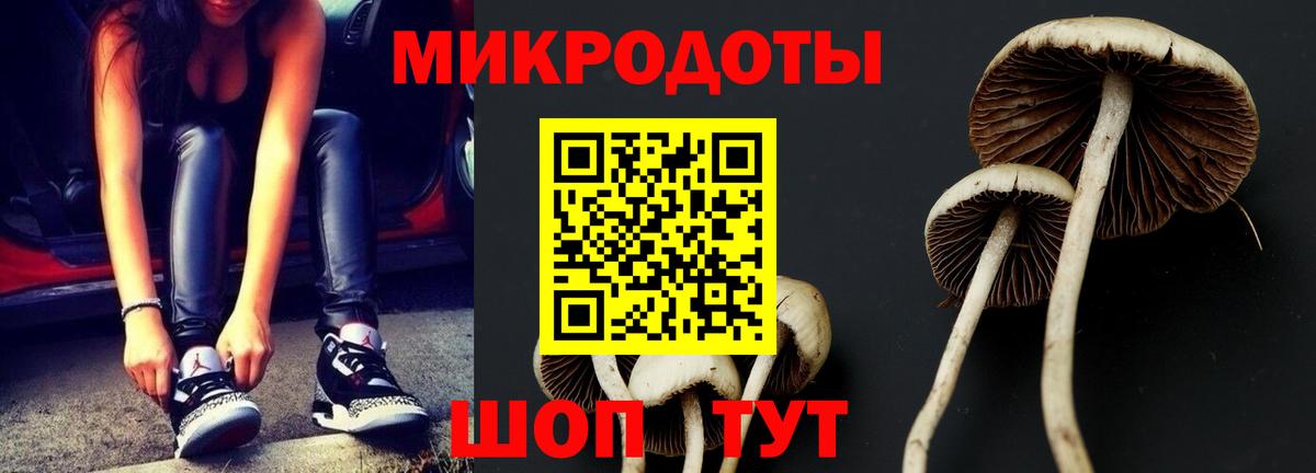 Псилоцибиновые грибы прущие грибы  Галлюциногенные грибы MAGIC MUSHROOMS  Балашиха  Вход с VPN 